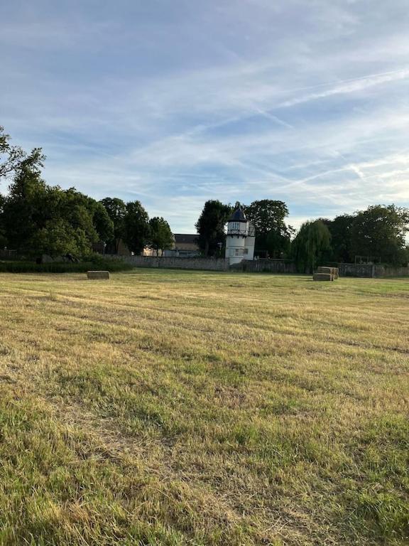 Ferienwohnung Am Schloss: Elbe-Nahe Unterkunft mit Schlossblick Barby Exterior photo